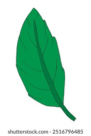 Outline illustration vector image of a leaf.
Hand drawn artwork of a leaf.
Simple cute original logo.
Hand drawn vector illustration for posters.