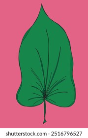 Outline illustration vector image of a leaf.
Hand drawn artwork of a leaf.
Simple cute original logo.
Hand drawn vector illustration for posters.