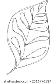 Outline illustration vector image of a leaf.
Hand drawn artwork of a leaf.
Simple cute original logo.
Hand drawn vector illustration for posters.