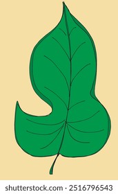 Outline illustration vector image of a leaf.
Hand drawn artwork of a leaf.
Simple cute original logo.
Hand drawn vector illustration for posters.