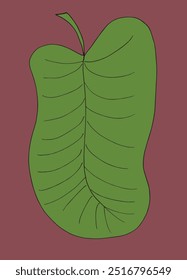 Esquema ilustración Vector Imagen de una hoja.
Dibujado a mano obra de arte de una hoja.
Logo original lindo simple.
Ilustración vectorial dibujada a mano para carteles.
