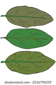 Outline illustration vector image of a leaf.
Hand drawn artwork of a leaf.
Simple cute original logo.
Hand drawn vector illustration for posters.