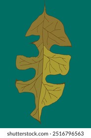 Outline illustration vector image of a leaf.
Hand drawn artwork of a leaf.
Simple cute original logo.
Hand drawn vector illustration for posters.