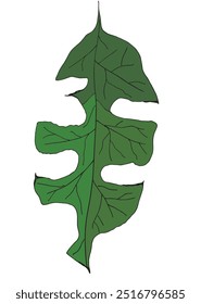 Outline illustration vector image of a leaf.
Hand drawn artwork of a leaf.
Simple cute original logo.
Hand drawn vector illustration for posters.