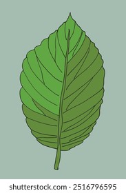 Outline illustration vector image of a leaf.
Hand drawn artwork of a leaf.
Simple cute original logo.
Hand drawn vector illustration for posters.