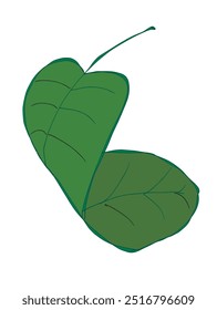 Outline illustration vector image of a leaf.
Hand drawn artwork of a leaf.
Simple cute original logo.
Hand drawn vector illustration for posters.
