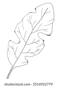 Outline illustration vector image of a leaf.
Hand drawn artwork of a leaf.
Simple cute original logo.
Hand drawn vector illustration for posters.