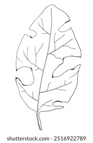 Outline illustration vector image of a leaf.
Hand drawn artwork of a leaf.
Simple cute original logo.
Hand drawn vector illustration for posters.