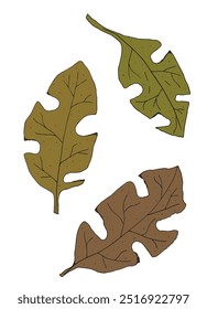 Outline illustration vector image of a leaf.
Hand drawn artwork of a leaf.
Simple cute original logo.
Hand drawn vector illustration for posters.