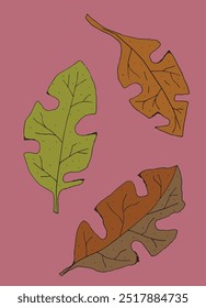 Outline illustration vector image of a leaf.
Hand drawn artwork of a leaf.
Simple cute original logo.
Hand drawn vector illustration for posters.