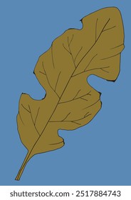Esquema ilustración Vector Imagen de una hoja.
Dibujado a mano obra de arte de una hoja.
Logo original lindo simple.
Ilustración vectorial dibujada a mano para carteles.