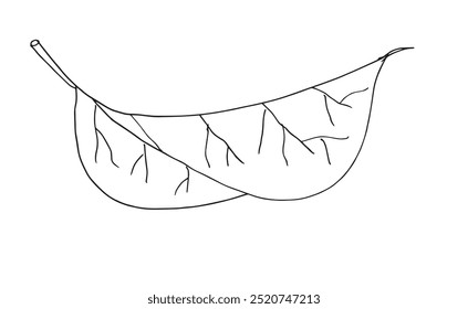 Outline illustration vector image of a leaf.
Hand drawn artwork of a leaf.
Simple cute original logo.
Hand drawn vector illustration for posters.