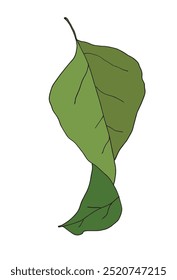 Outline illustration vector image of a leaf.
Hand drawn artwork of a leaf.
Simple cute original logo.
Hand drawn vector illustration for posters.