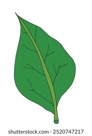 Outline illustration vector image of a leaf.
Hand drawn artwork of a leaf.
Simple cute original logo.
Hand drawn vector illustration for posters.