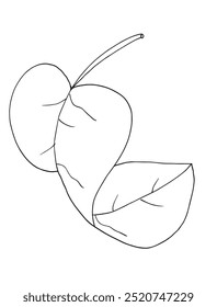 Outline illustration vector image of a leaf.
Hand drawn artwork of a leaf.
Simple cute original logo.
Hand drawn vector illustration for posters.