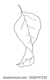 Outline illustration vector image of a leaf.
Hand drawn artwork of a leaf.
Simple cute original logo.
Hand drawn vector illustration for posters.