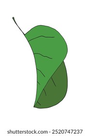 Outline illustration vector image of a leaf.
Hand drawn artwork of a leaf.
Simple cute original logo.
Hand drawn vector illustration for posters.