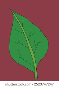 Outline illustration vector image of a leaf.
Hand drawn artwork of a leaf.
Simple cute original logo.
Hand drawn vector illustration for posters.