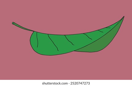 Outline illustration vector image of a leaf.
Hand drawn artwork of a leaf.
Simple cute original logo.
Hand drawn vector illustration for posters.
