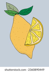 Outline illustration vector image of a lemon.
Hand drawn artwork of a lemon. 
Simple cute original logo.
Hand drawn vector illustration for posters, cards, t-shirts.