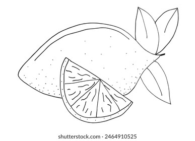 Umriss Illustration Vektorgrafik Bild einer Zitrone.
Handgezeichnetes Kunstwerk einer Zitrone.
Einfaches, niedliches Original-Logo.
Handgezeichnete Vektorillustration für Poster.