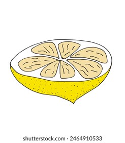 Outline illustration vector image of a lemon.
Hand drawn artwork of a lemon.
Simple cute original logo.
Hand drawn vector illustration for posters.