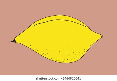 Outline illustration vector image of a lemon.
Hand drawn artwork of a lemon.
Simple cute original logo.
Hand drawn vector illustration for posters.