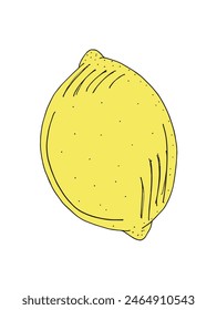 Ilustración de contorno Imagen de Vector de un limón.
Obra de arte dibujada a mano de un limón.
Simple lindo logotipo original.
Ilustración vectorial dibujada a mano para carteles.