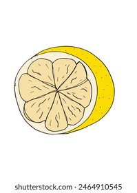 Outline illustration vector image of a lemon.
Hand drawn artwork of a lemon.
Simple cute original logo.
Hand drawn vector illustration for posters.