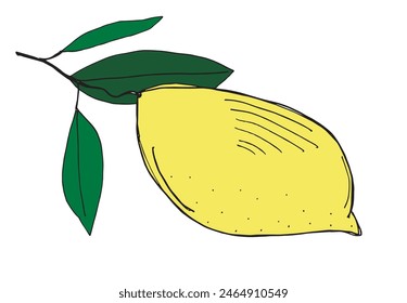 Outline illustration vector image of a lemon.
Hand drawn artwork of a lemon.
Simple cute original logo.
Hand drawn vector illustration for posters.