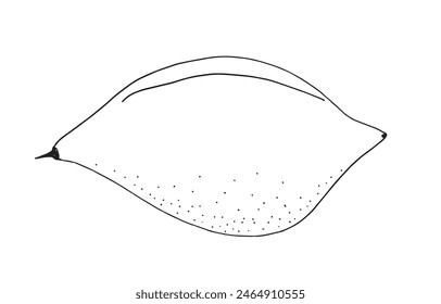 Outline illustration vector image of a lemon.
Hand drawn artwork of a lemon.
Simple cute original logo.
Hand drawn vector illustration for posters.