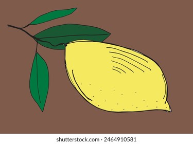 Outline illustration vector image of a lemon.
Hand drawn artwork of a lemon.
Simple cute original logo.
Hand drawn vector illustration for posters.