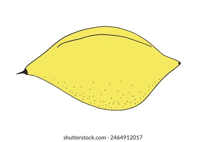 Outline illustration vector image of a lemon.
Hand drawn artwork of a lemon.
Simple cute original logo.
Hand drawn vector illustration for posters.