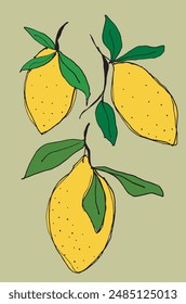 Umriss Illustration Vektorgrafik Bild einer Zitrone.
Handgezeichnetes Kunstwerk einer Zitrone.
Einfaches, niedliches Original-Logo.
Handgezeichnete Vektorillustration für Poster.
