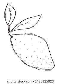 Outline illustration vector image of a lemons.
Hand drawn artwork of a lemons.
Simple cute original logo.
Hand drawn vector illustration for posters.