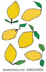 Outline illustration vector image of a lemons.
Hand drawn artwork of a lemons.
Simple cute original logo.
Hand drawn vector illustration for posters.