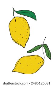 Outline illustration vector image of a lemons.
Hand drawn artwork of a lemons.
Simple cute original logo.
Hand drawn vector illustration for posters.