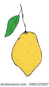 Outline illustration vector image of a lemons.
Hand drawn artwork of a lemons.
Simple cute original logo.
Hand drawn vector illustration for posters.