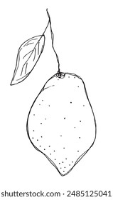 Outline illustration vector image of a lemons.
Hand drawn artwork of a lemons.
Simple cute original logo.
Hand drawn vector illustration for posters.