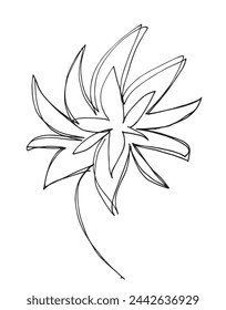 Outline illustration vector image of a  lotus flower.
Hand drawn artwork of a lotus logo.
Simple cute original logo.
Hand drawn vector illustration for posters.