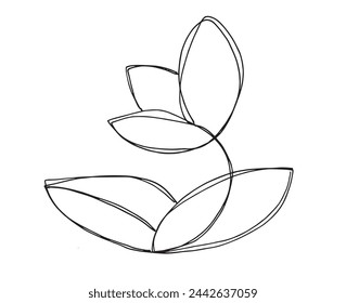 Outline illustration vector image of a  lotus flower.
Hand drawn artwork of a lotus logo.
Simple cute original logo.
Hand drawn vector illustration for posters.