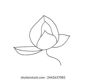 Outline illustration vector image of a  lotus flower.
Hand drawn artwork of a lotus logo.
Simple cute original logo.
Hand drawn vector illustration for posters.