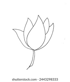 Outline illustration vector image of a  lotus flower.
Hand drawn artwork of a lotus logo.
Simple cute original logo.
Hand drawn vector illustration for posters.