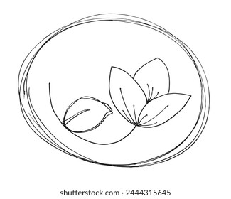 Outline illustration vector image of a  lotus flower.
Hand drawn artwork of a lotus logo.
Simple cute original logo.
Hand drawn vector illustration for posters.