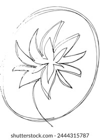 Outline illustration vector image of a  lotus flower.
Hand drawn artwork of a lotus logo.
Simple cute original logo.
Hand drawn vector illustration for posters.