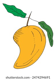 Esquema ilustración Imagen de Vector de un mango.
Obra de arte dibujada a mano de un mango.
Simple lindo logotipo original.
Ilustración vectorial dibujada a mano para carteles.