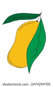 Outline illustration vector image of a mango.
Hand drawn artwork of a mango.
Simple cute original logo.
Hand drawn vector illustration for posters.