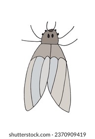 Ilustración de esquema de imagen vectorial de una polilla.
Obra a mano de arte de una polilla. 
Simple y lindo logo original.
Ilustración vectorial dibujada a mano para afiches, tarjetas, camisetas.