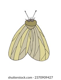 Outline illustration vector image of a moth.
Hand drawn artwork of a moth. 
Simple cute original logo.
Hand drawn vector illustration for posters, cards, t-shirts.