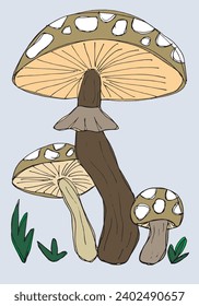 Outline illustration vector image of a mushroom.
Hand drawn artwork of a fungus.
Simple cute original logo.
Hand drawn vector illustration for posters, cards, t-shirts.